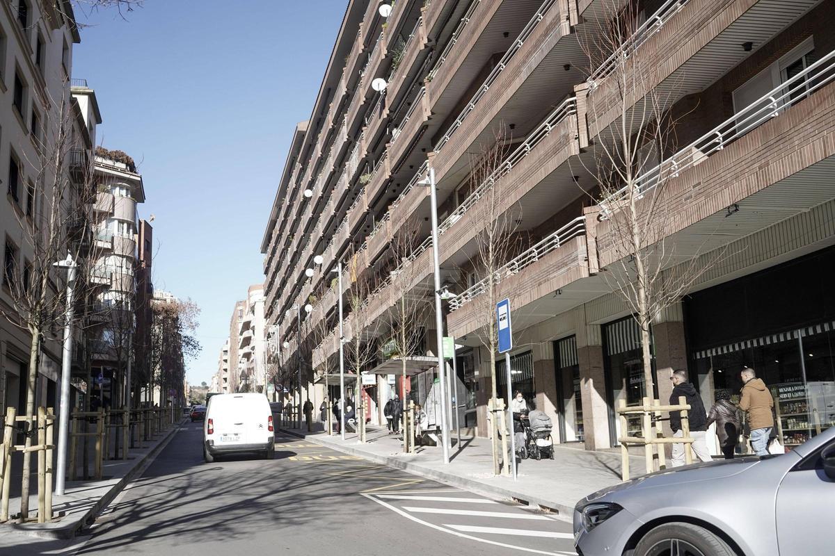 Arbres plantats al carrer Guimerà de Manresa