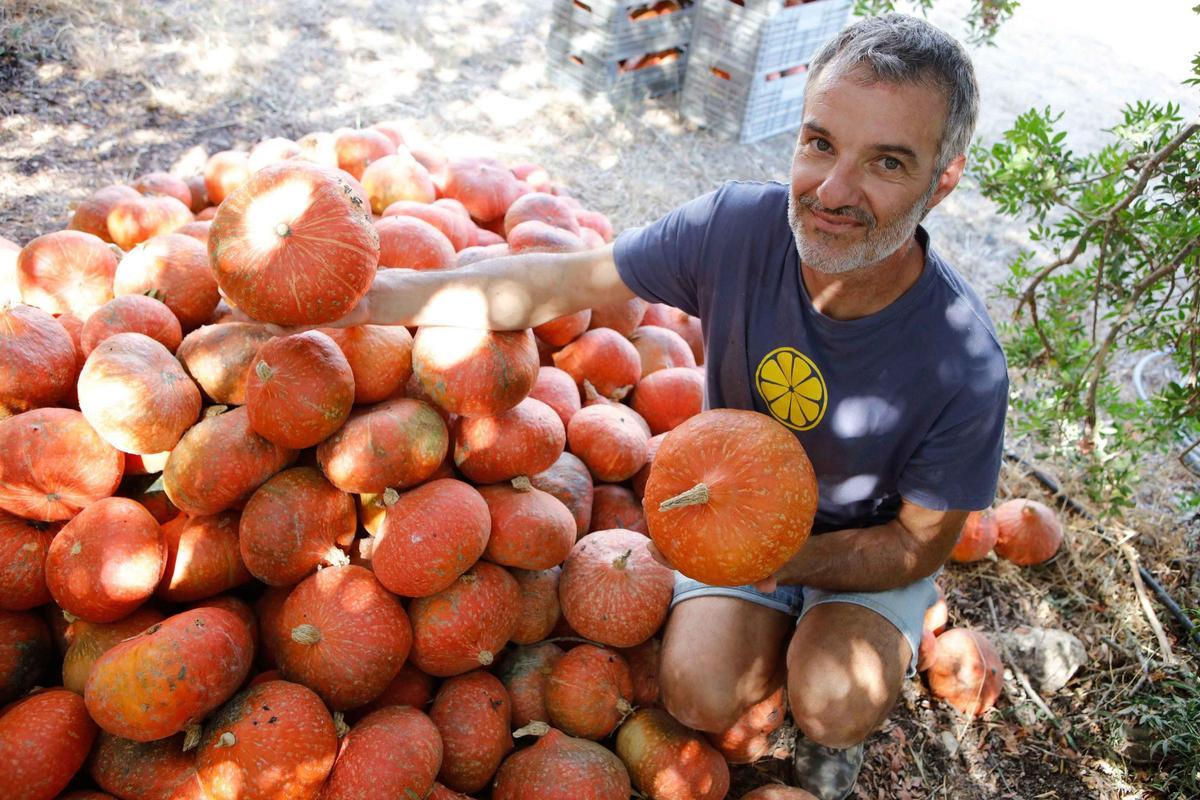 Jaume Adrover, portavoz de Terraferida,e un una imagen del pasado año