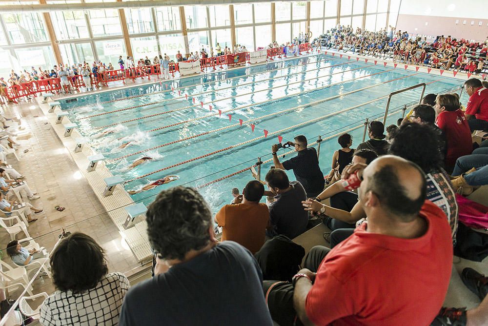 Más de 300 participantes y numeroso público asisten a la trigésimo primera edición del Trofeo Ciutat d'Eivissa de natación.