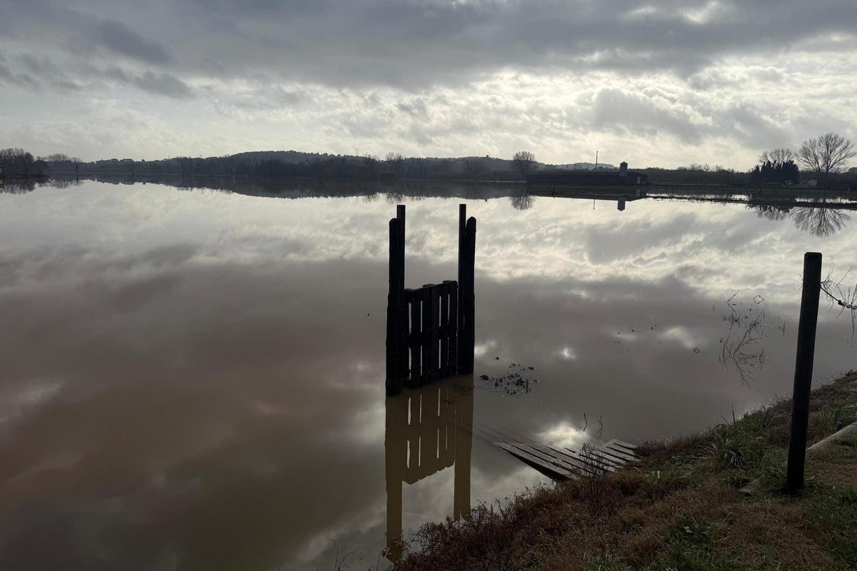 Un camp de Serra de Daro inundat.