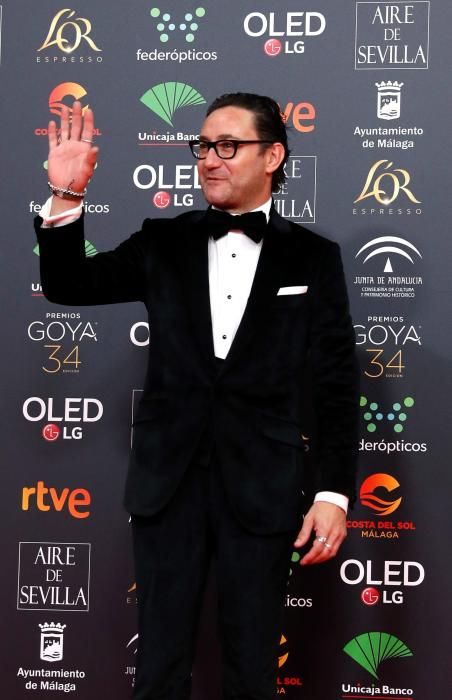 Alfombra roja de los Premios Goya 2020.