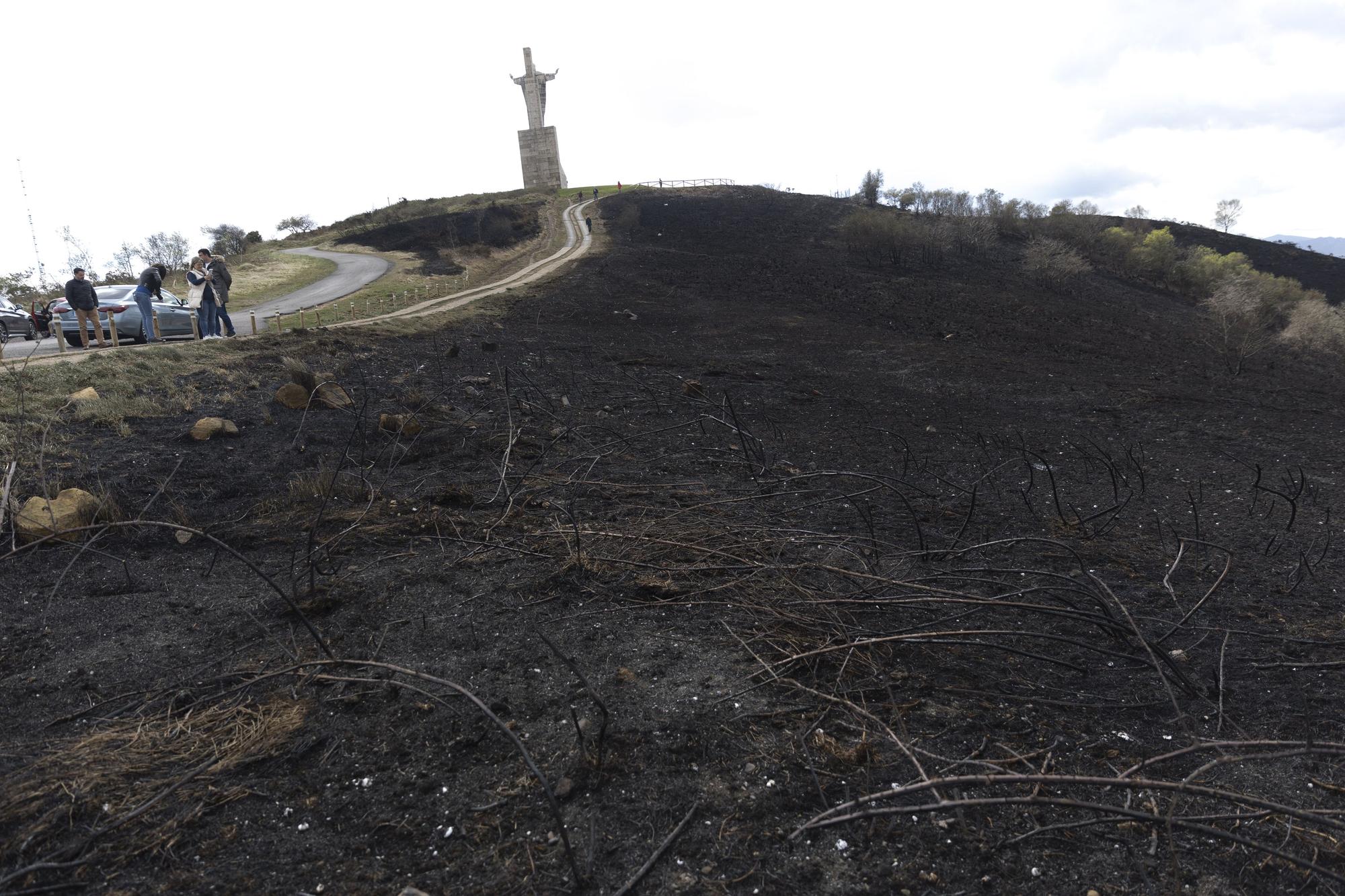 El aspecto del Naranco tras unos incendios históricos