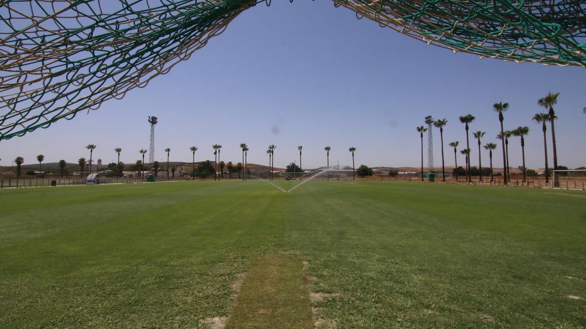 Vista del campo pequeño de la Ciudad Deportiva, este lunes.