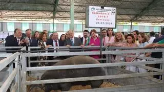 Zafra nombrará Hijo Predilecto a Santiago Malpica por toda una vida dedicada a la feria