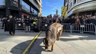 Fin de semana grande na capital do cocido