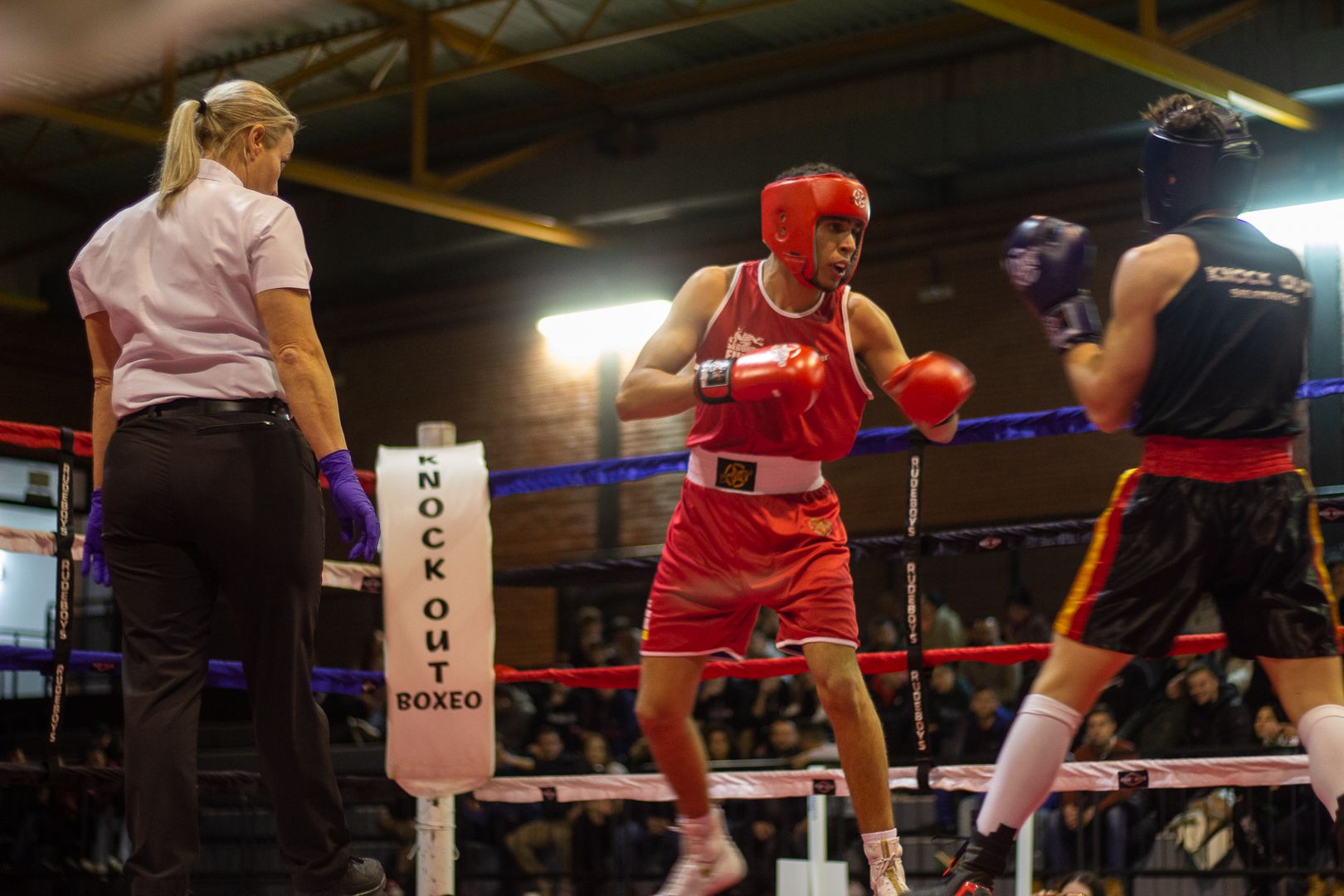 GALERIA | El boxeo también fue protagonista en la navidad zamorana