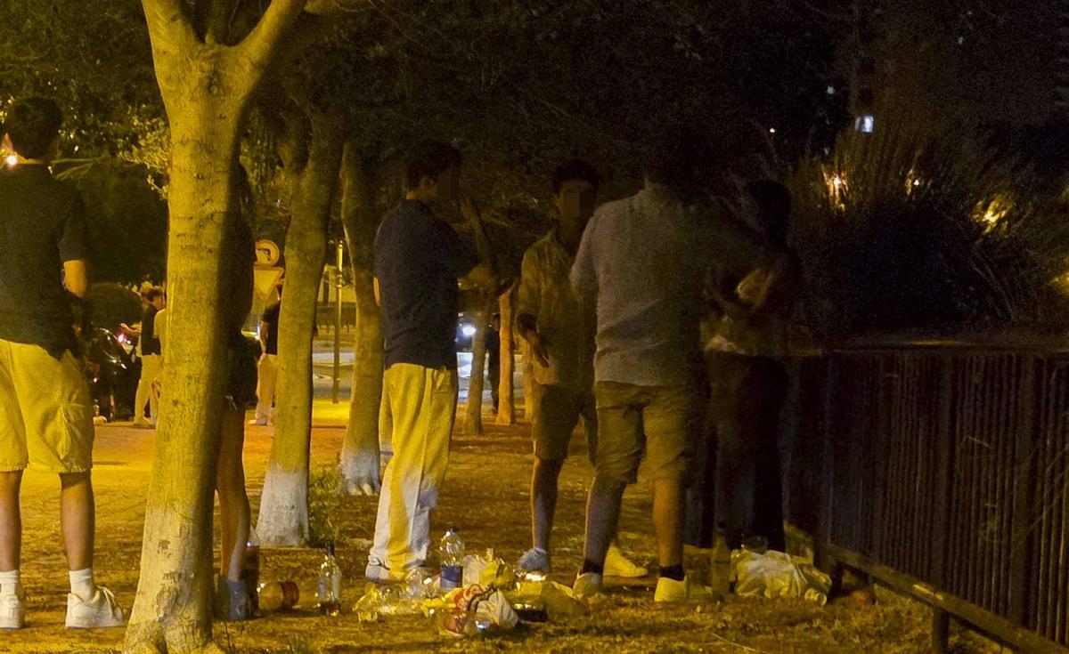Botellón en la zona de la Albufereta en Alicante