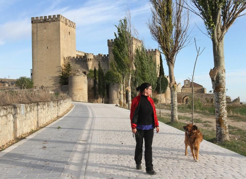 Castillos de Palencia