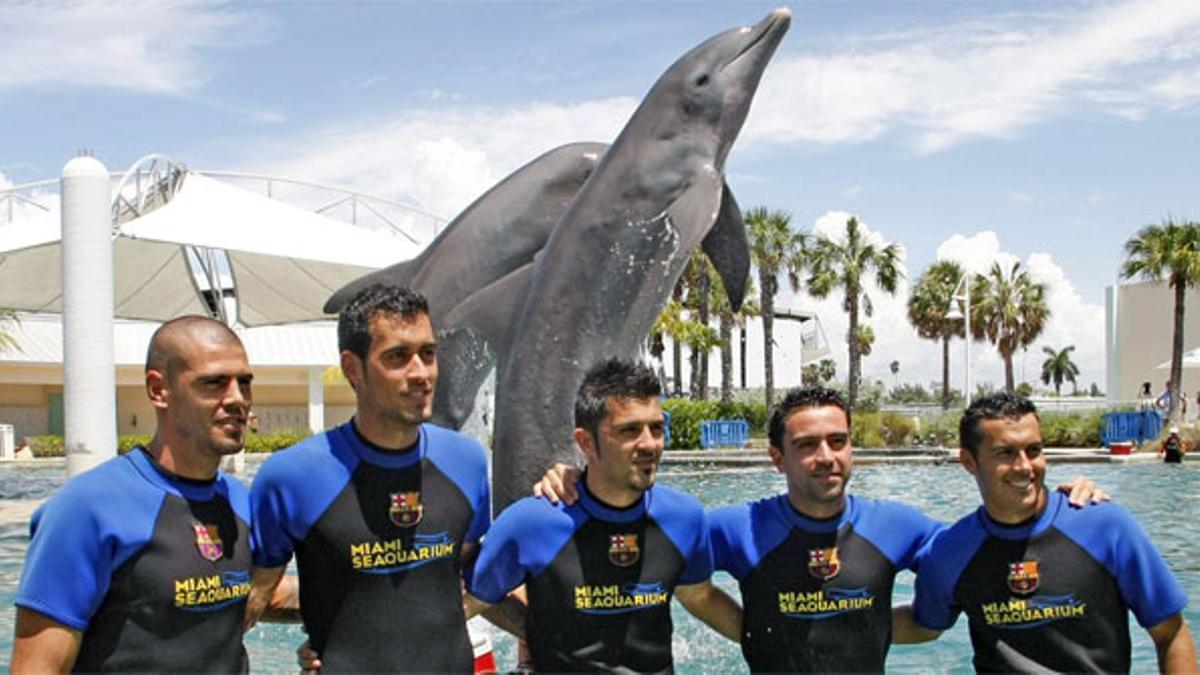 Así vivió Valdés su experiencia con los delfines
