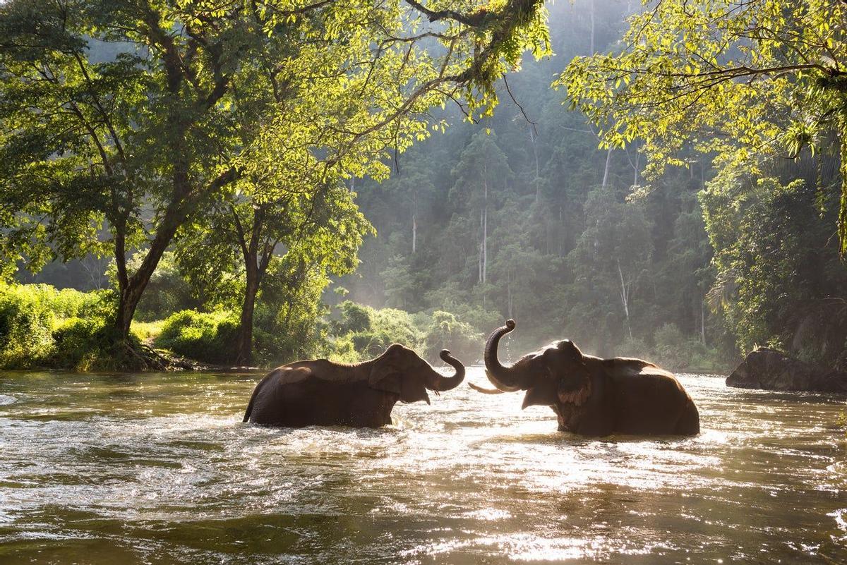 Rio Kwai, Tailandia