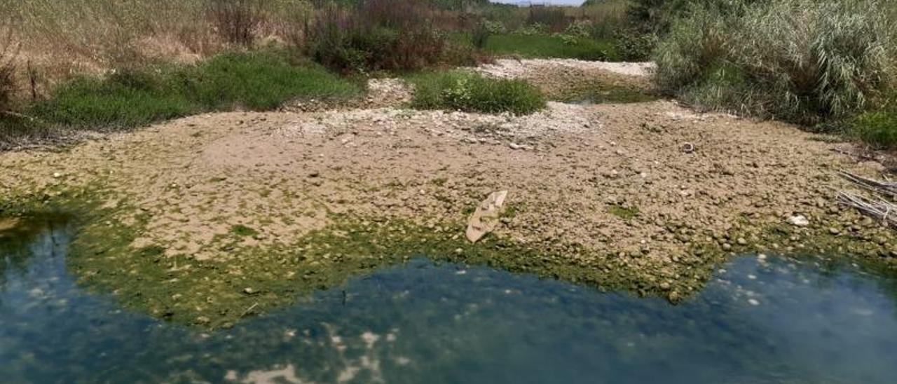Un tramo del río Albaida sin agua en una imagen de la semana pasada. | XÚQUER VIU