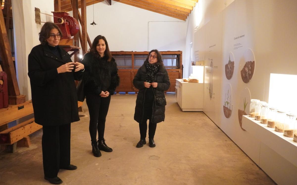 La harinera de can Beió de Manacor reabre al público como espacio museístico