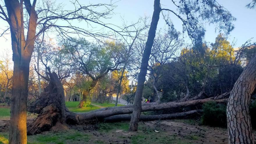 Nueve borrascas en tres meses: La C. Valenciana, entre las autonomías con zonas de emergencia por fuertes lluvias y vientos huracanados
