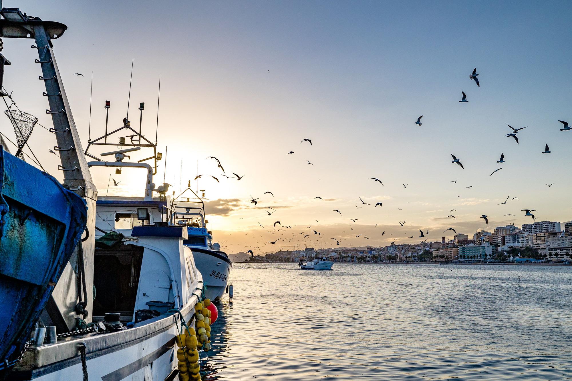 Pesca y Turismo en Villajoyosa