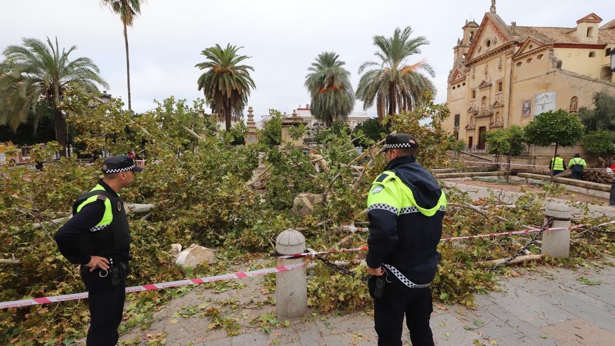 Agentes de la Policía observan este lunes el destrozo del Triunfo de San Rafael en la plaza del Alpargate.