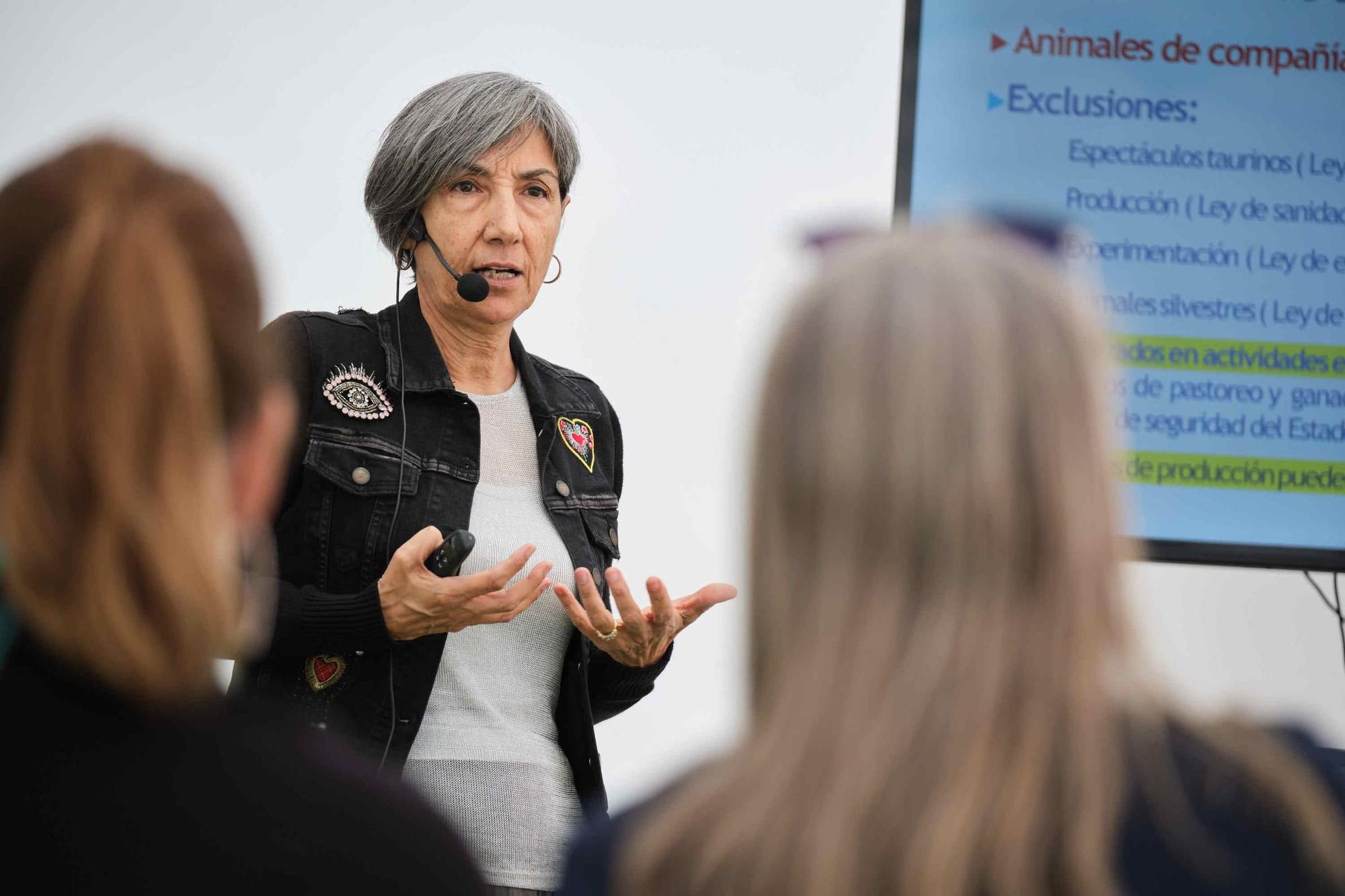 Feria de la Adopción de Mascotas de La Laguna