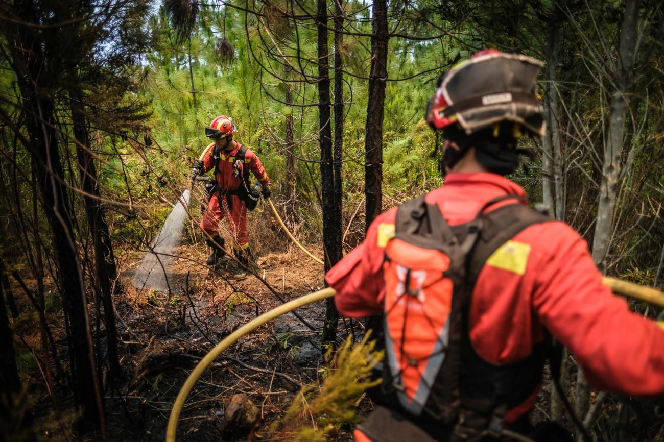 Actuación de la UME en el segundo día del incendio del Norte de Tenerife