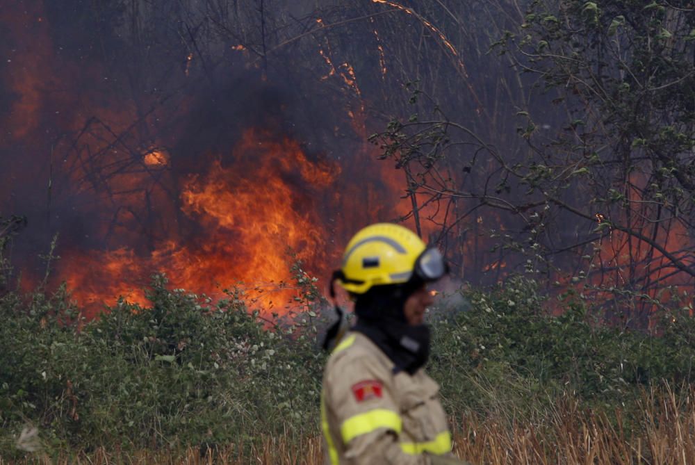 Incendi entre Cruïlles i Monells