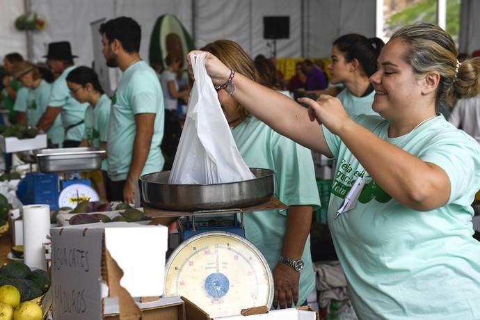 III FERIA DEL AGUACATE