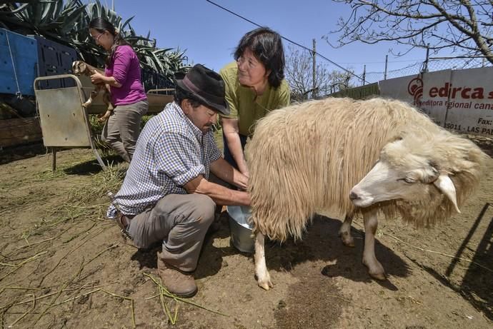 CAIDEROS DE GÁLDAR. Reportaje a Flora Gil y ...