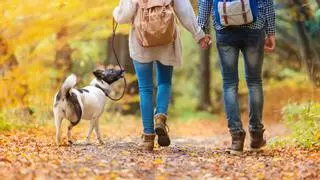 Estos son los beneficios de dar un paseo por la mañana y así afecta al sueño