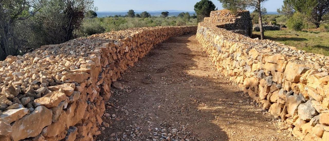 Al Pla Vinyers es troba part del Camí Ceboller i les vuit barraques que s’estan recuperant