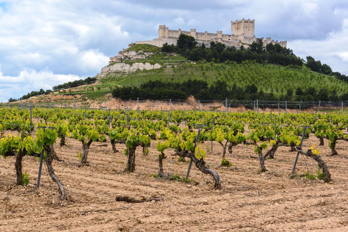 Las vistas de los viñedos, para amantes y no amantes del vino