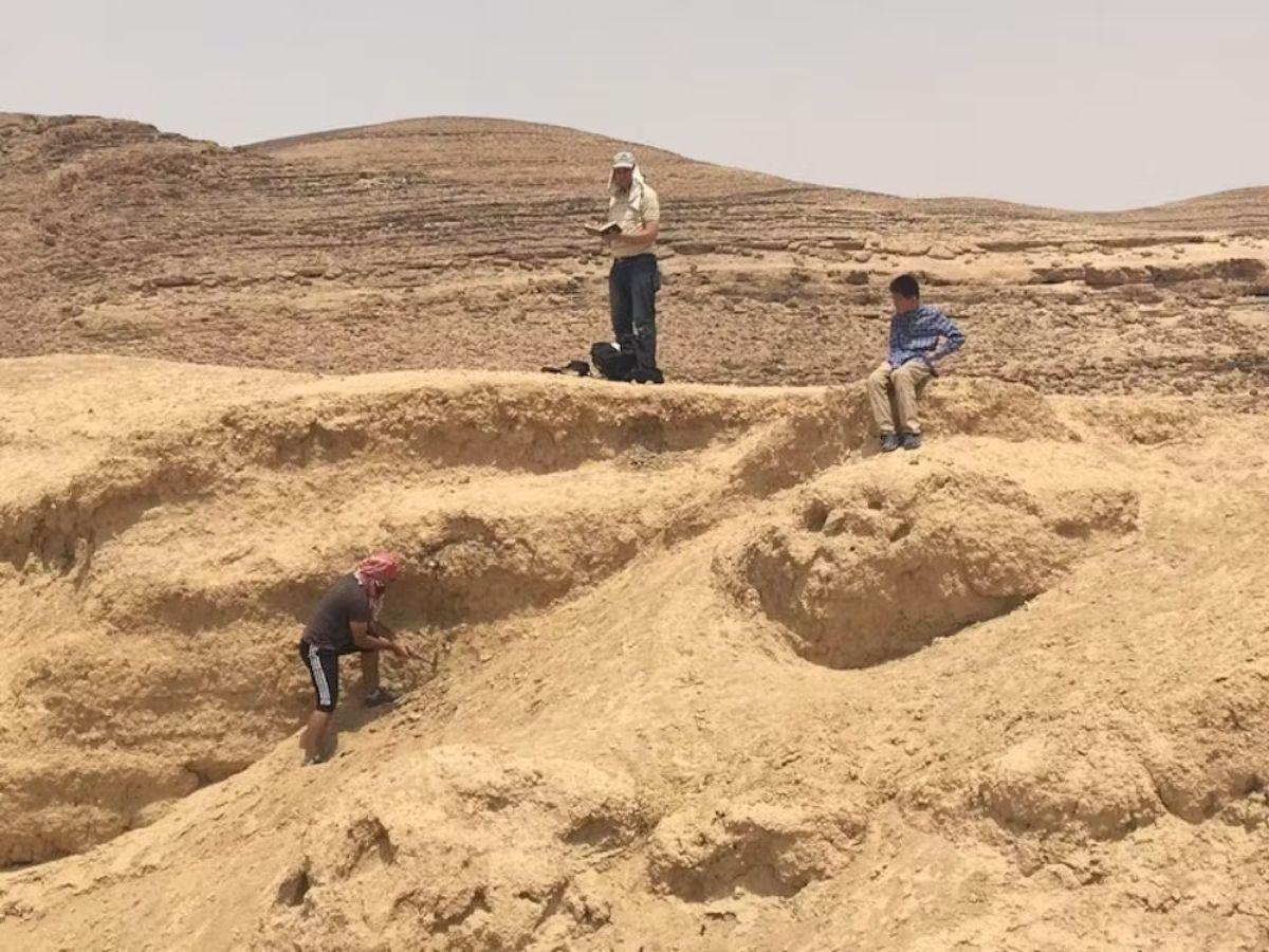Los investigadores recolectan muestras en el oeste de Jordania.