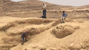 Los investigadores recolectan muestras en el oeste de Jordania.