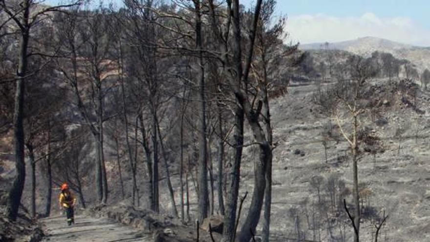 El día en que ardió la Serra