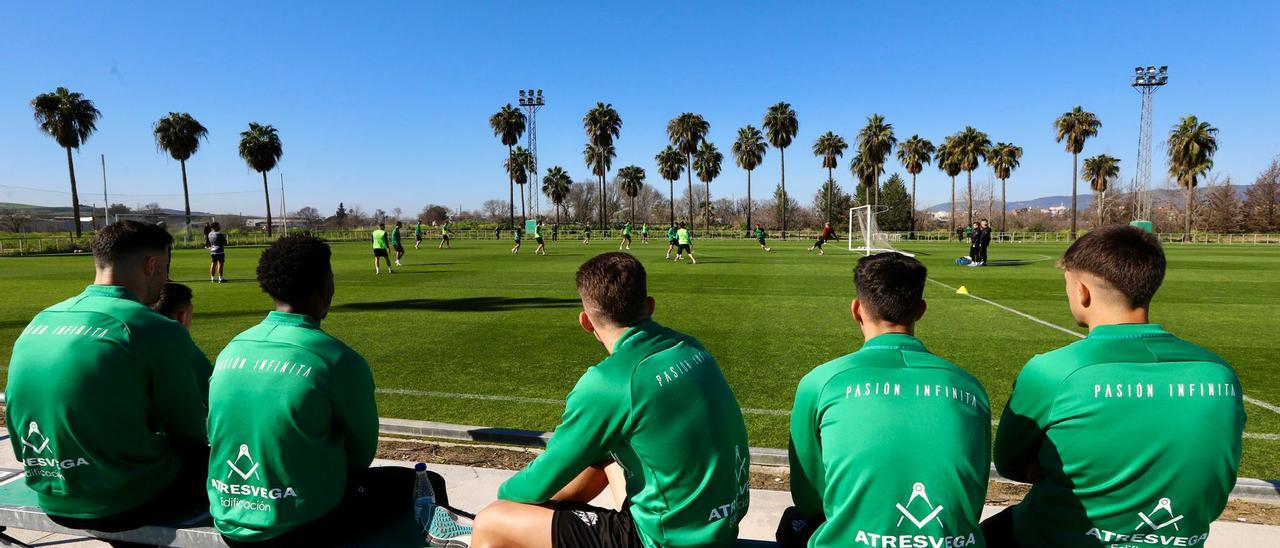 Una vista del entrenamiento de recuperación del Córdoba CF en la Ciudad Deportiva, este lunes.
