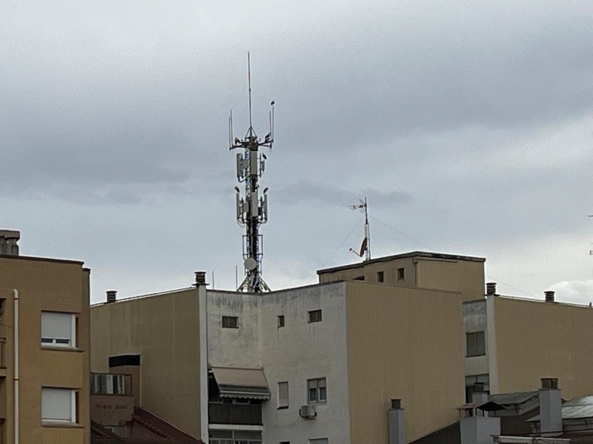 Un estol de cigonyes per Manresa Un estol de cigonyes per Manresa