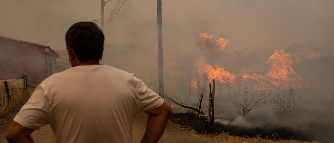 ZAMORA. FERRERAS DE ABAJO. PUMAREJO. INCENCIO FORESTAL LOSACIO