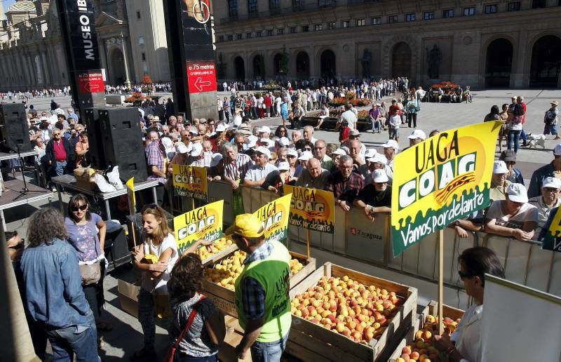 El sector reparte 4.000 kilos de fruta en la Plaza del Pilar