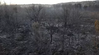 Mapa del incendio en el sur de Francia: actualización de las hectáreas quemadas