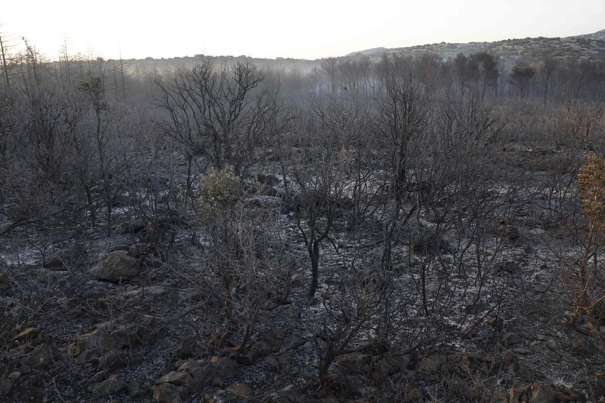 INCENDIO FRANCIA | Mapa del incendio en el sur de Francia ...