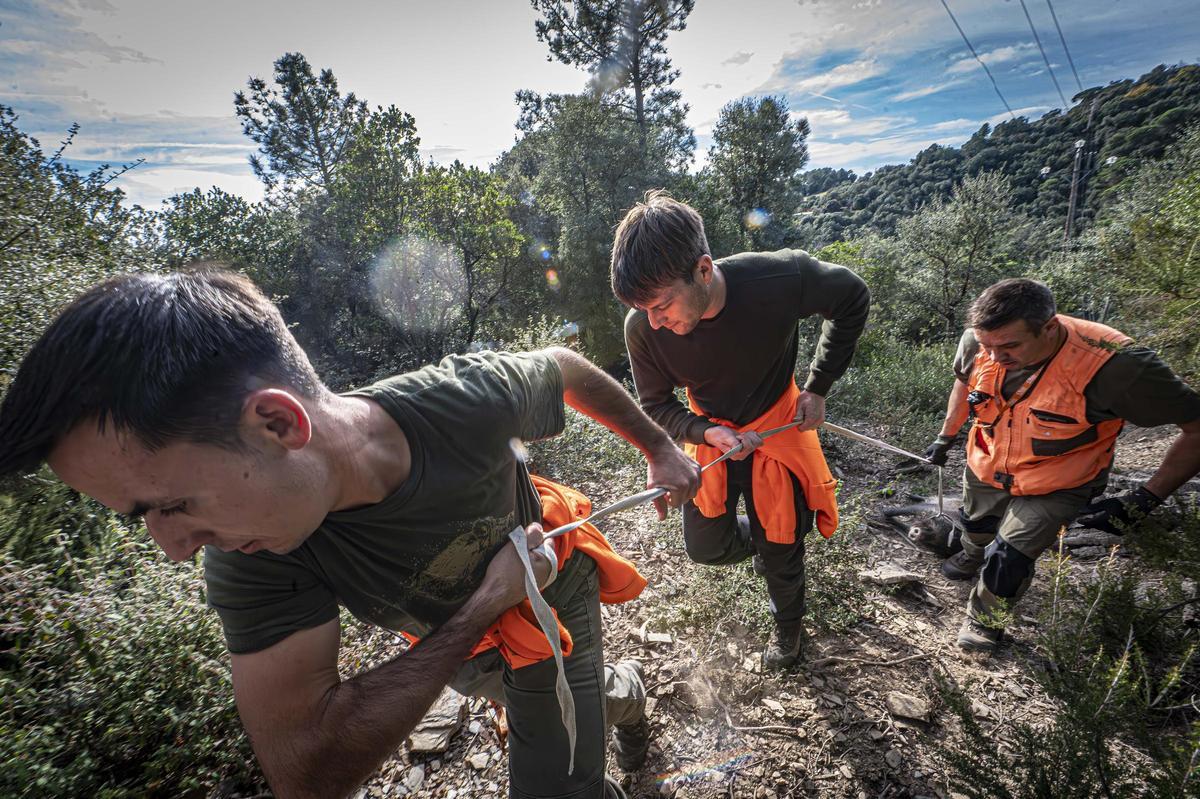 Así funciona una batida de caza en Girona: seguridad, convivencia y control del jabalí