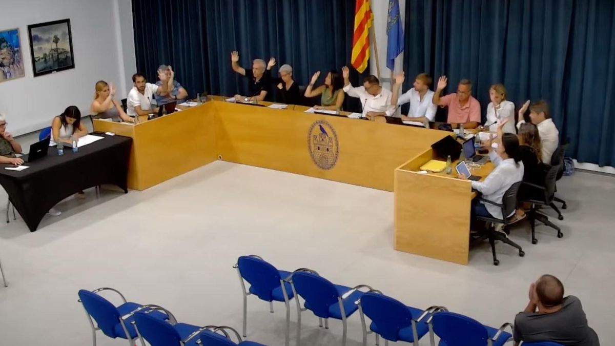 El ple municipal on es va aprovar l'ordenança d'animals.