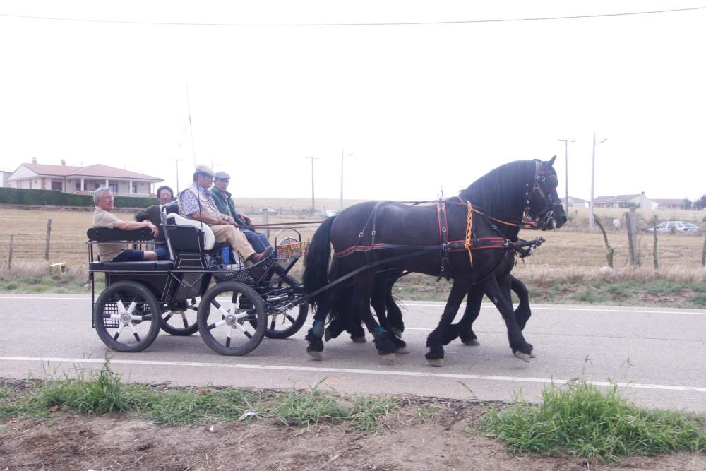 Espante infantil de Fuentesaúco