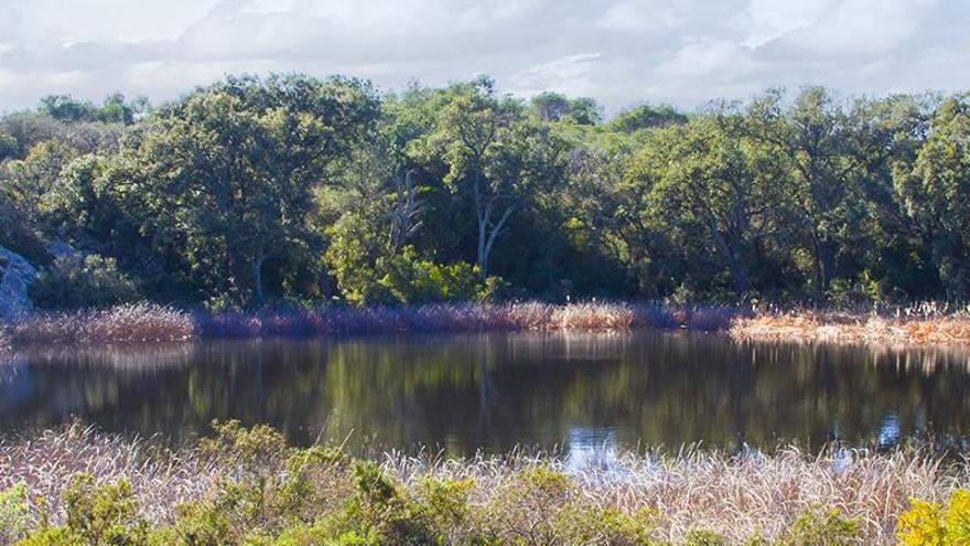 Descubre La Dehesa, el tesoro natural de Soneja