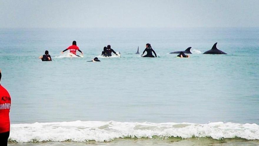 Varios alumnos hacen surf entre delfines en San Lorenzo