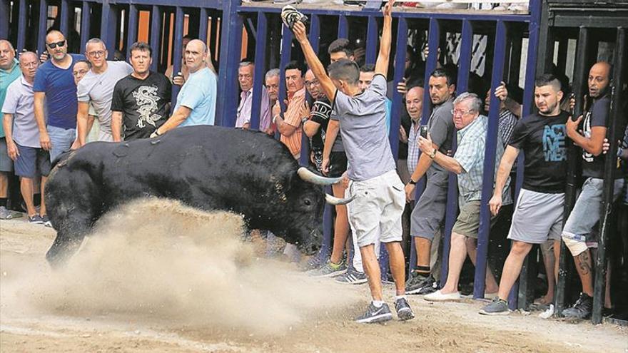 Las celebraciones taurinas de Burriana tendrán 18 cerriles