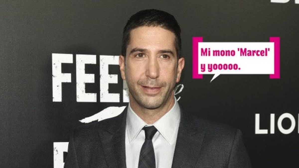 ¡Ross (David Schwimmer) odiaba a Marcel en Friends!