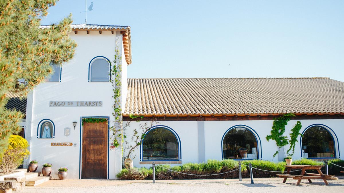 REQUENA ES CAVA | Bautismo del cava, una experiencia única en Pago de Tharsys