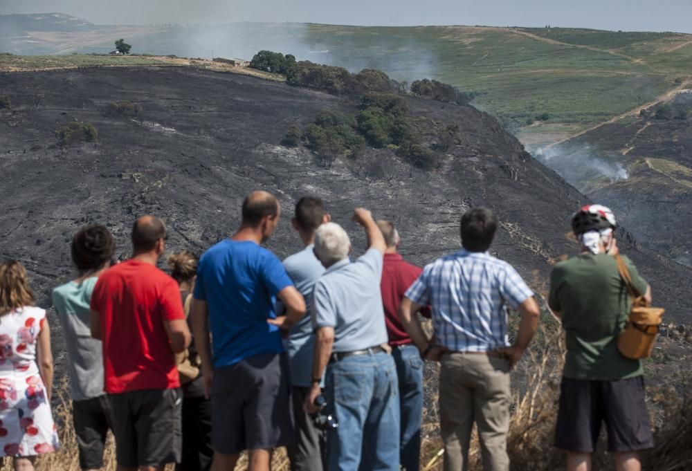 La oleada de incendios azota Ourense - La conselleira de Medio Rural denuncia la elevada actividad incendiaria de este fin de semana, con más de 20 focos en la provincia. El fuego de Trives, con 164 h