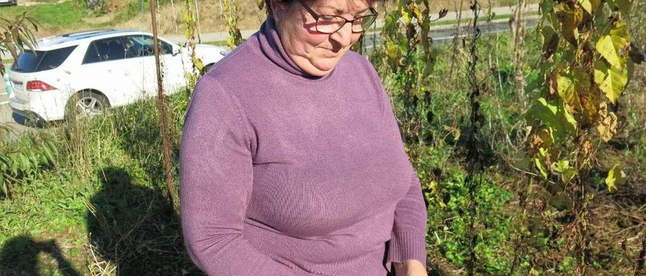 Menchu Valle, en su plantación de fabes, ayer, en Colunga.