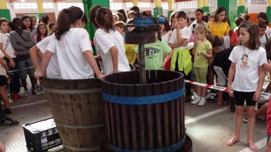 150 alumnos de Primaria de Betanzos aprenden a vendimiar