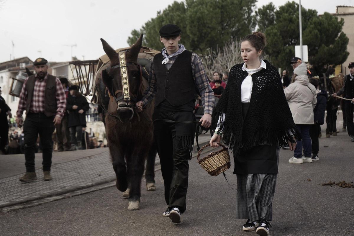 Festa dels Traginers de Balsareny