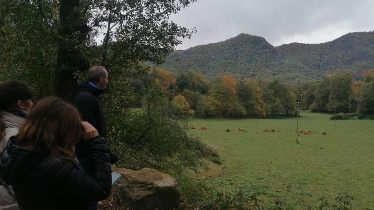 Una de les visites d’operadors internacionals.  | TURISME LA GARROTXA