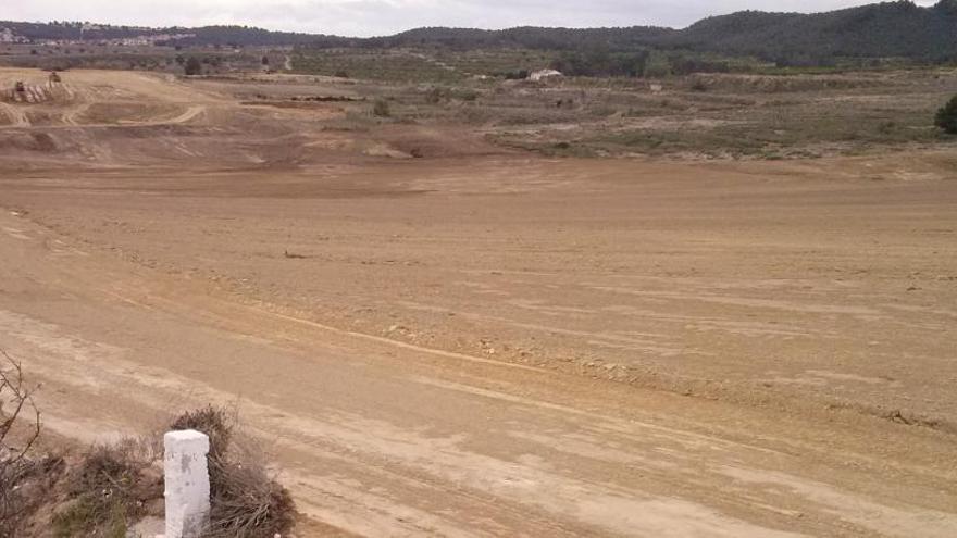 El terreno de secano de almendros preparado para el regadío en la finca de Lo Balaguer de San Miguel de Salinas